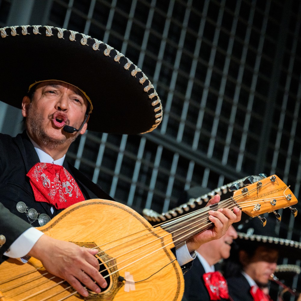 World Physiotherapy Congress 2025 closing session